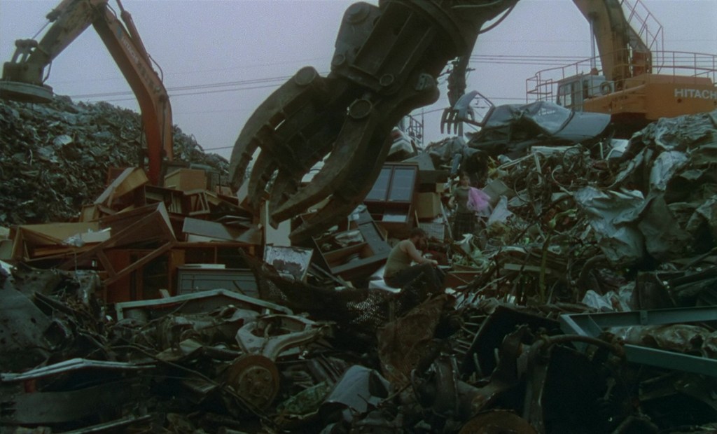 Quels paysages sont encore possibles ? – Vers un cinéma cosmo-symbiotique