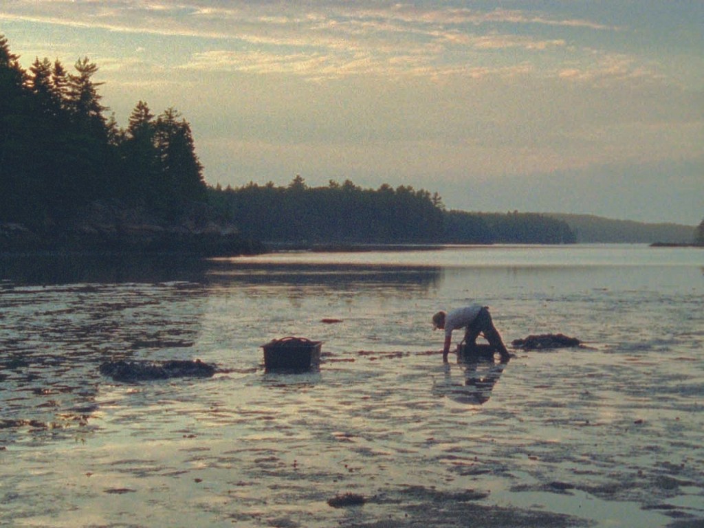 Double Tide : Résonances par-delà le&nbsp;temps