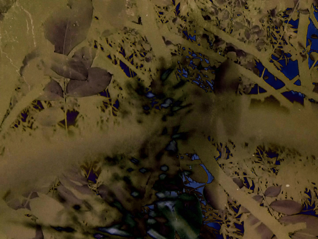 Des lieux &laquo;&nbsp;natureculturels&nbsp;&raquo; – Filmer des paysages dans le&nbsp;trouble