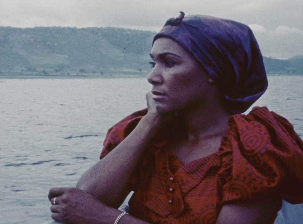 Onze films d&rsquo;aujourd&rsquo;hui [2023]